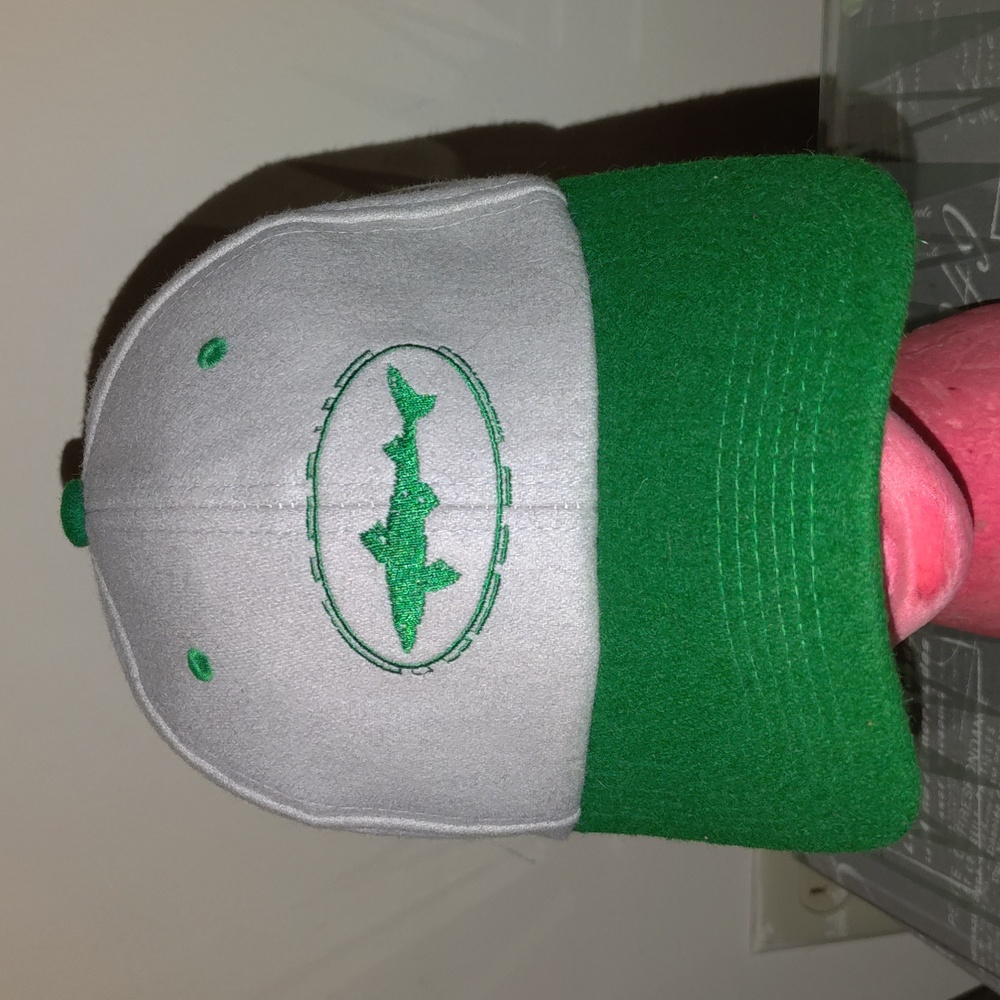 Dogfish Head Craft Brewery Embroidered Logo Wool Snapback Hat Cap